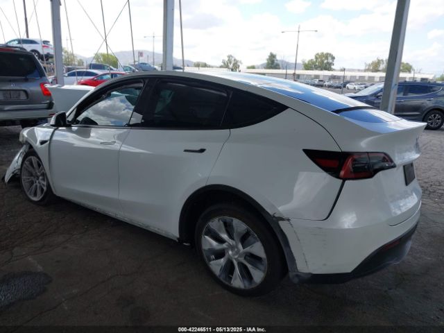 2022 TESLA MODEL Y 7SAYGDEE2NF509769 Photo 2