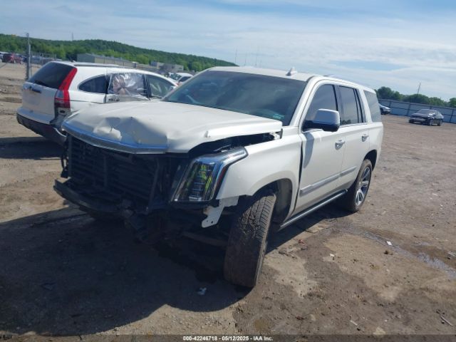 2015 CADILLAC ESCALADE 1GYS4NKJ7FR500218 Photo 1