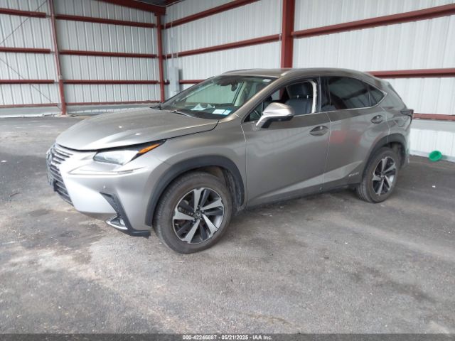JTJGJRDZ0L2126938 Lexus NX 300H