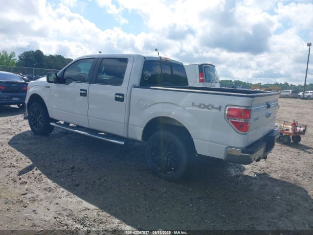 2014 FORD F-150 1FTFW1EF2EFD13163 Photo 2