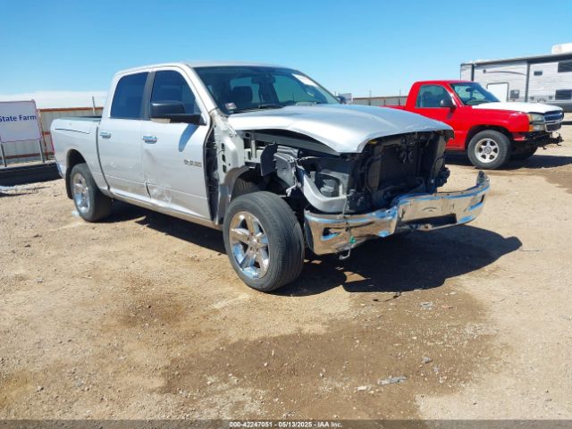 2009 DODGE RAM 1500 1D3HV13T49J517364