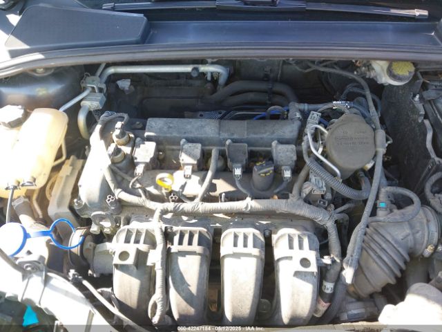 1FADP3F23GL252346 Ford FOCUS SE