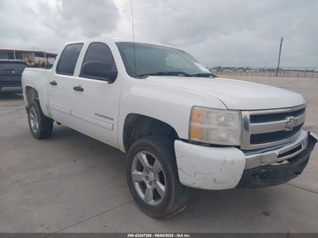 2011 CHEVROLET SILVERADO 1500 3GCPCSE03BG147146
