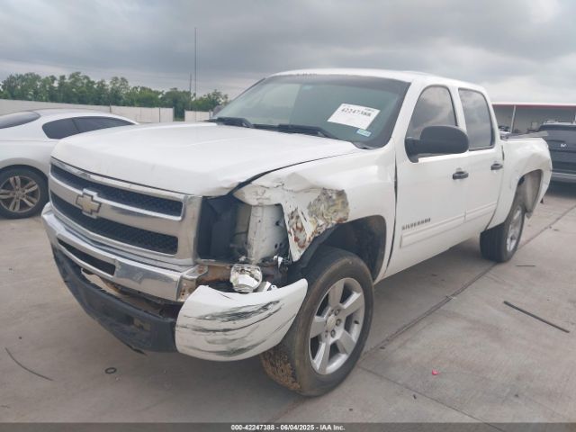 2011 CHEVROLET SILVERADO 1500 3GCPCSE03BG147146 Photo 5