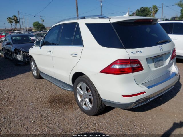 2013 MERCEDES-BENZ ML 350 4JGDA5JB2DA143975 Photo 2