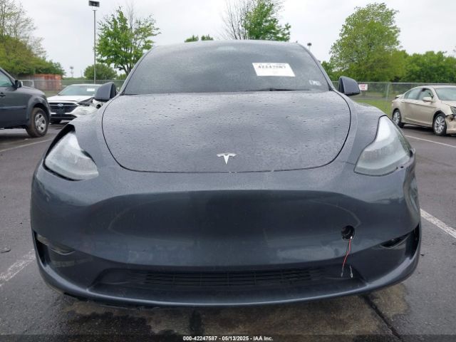 7SAYGDED5PF958065 Tesla 2023