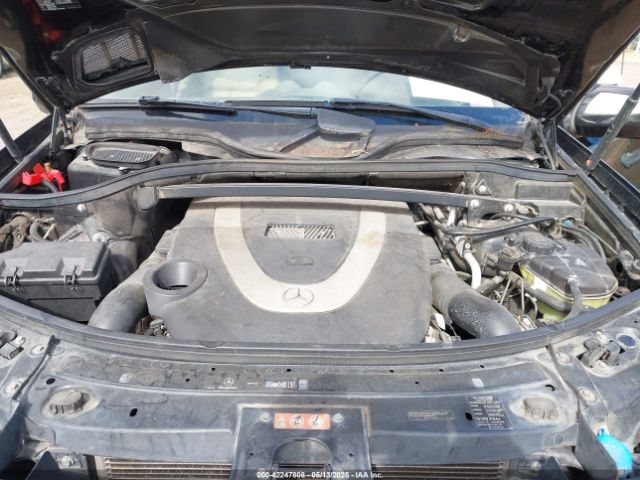 2009 MERCEDES-BENZ GL 450 4JGBF71E39A521033 Photo 9