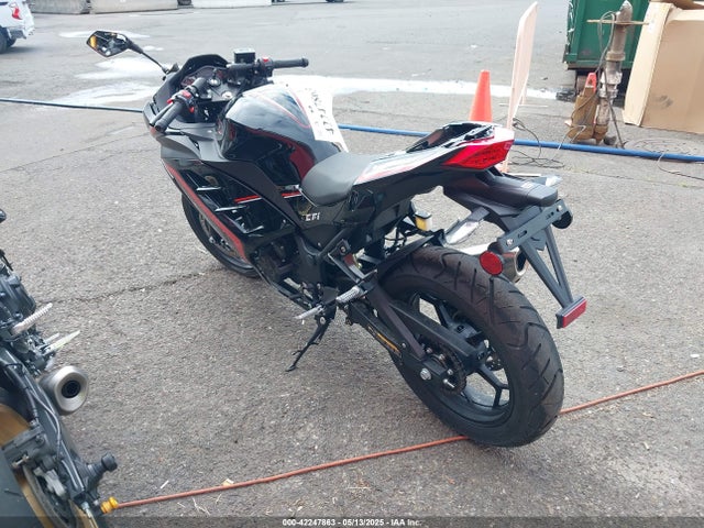 Roadster 250 Xpro 2024 L2BB5AAK6RBA15018 Image 3