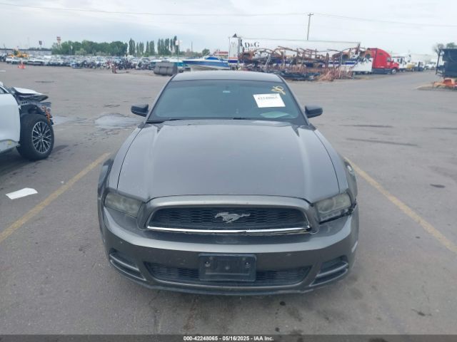 1ZVBP8AM2E5315541 Ford Mustang V6