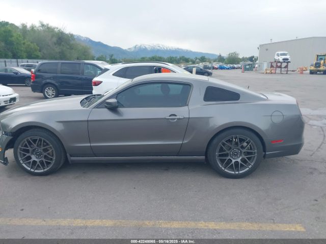 1ZVBP8AM2E5315541 Ford Mustang V6