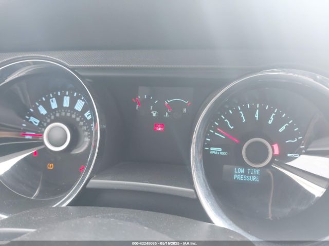 1ZVBP8AM2E5315541 Ford Mustang V6