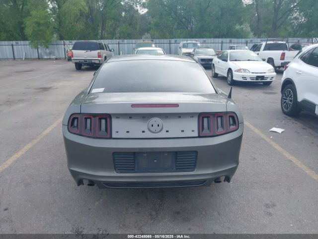 1ZVBP8AM2E5315541 Ford Mustang V6