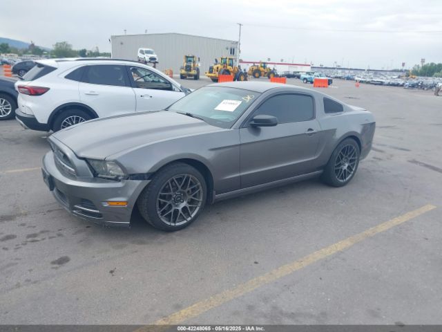 1ZVBP8AM2E5315541 Ford Mustang V6