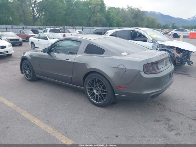 1ZVBP8AM2E5315541 Ford Mustang V6