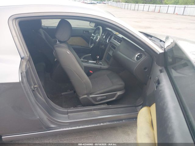 1ZVBP8AM2E5315541 Ford Mustang V6