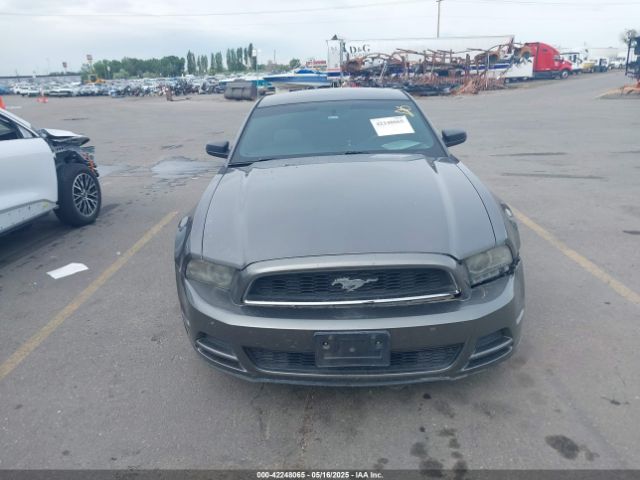 1ZVBP8AM2E5315541 Ford Mustang V6