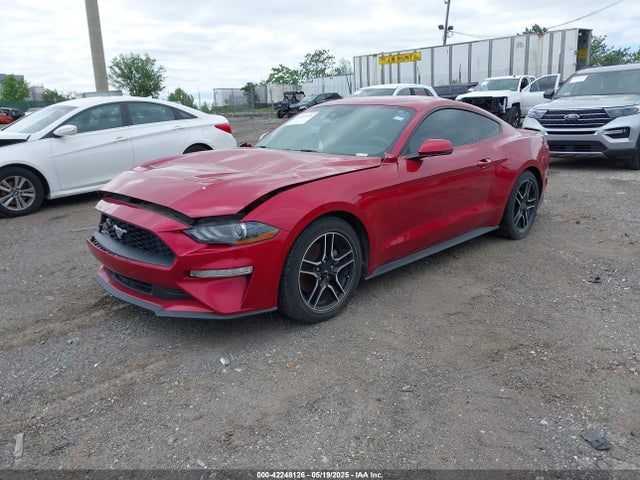 Ford 4v 2023 1FA6P8TH8P5101375 Image 2