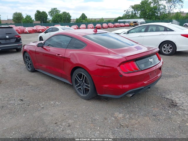 Ford 4v 2023 1FA6P8TH8P5101375 Image 3