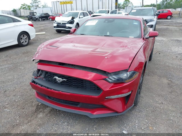 Ford 4v 2023 1FA6P8TH8P5101375 Image 6