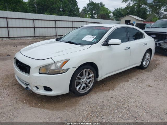 1N4AA5AP6EC436647 Nissan Maxima 3.5 S