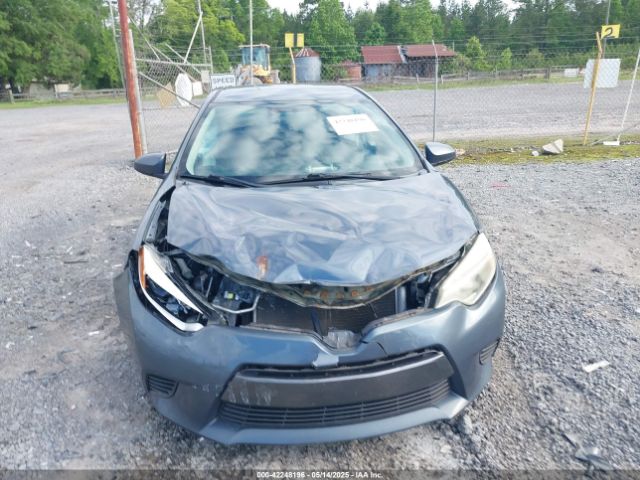 2T1BURHE5FC254206 Toyota COROLLA LE