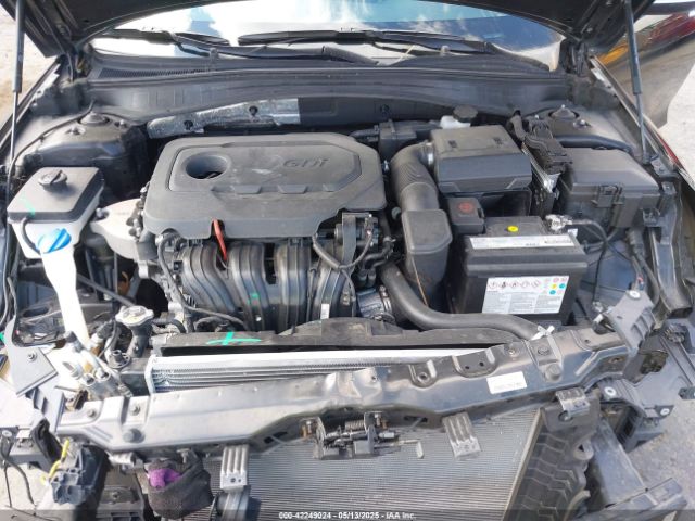 5XXGT4L31LG391343 KIA Optima Lx