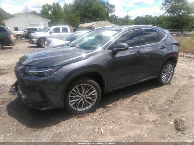 2T2GKCEZ2SC032602 Lexus Nx 350h Premium