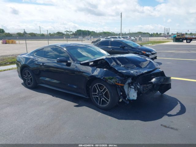 2019 FORD MUSTANG 1FA6P8TH4K5195697