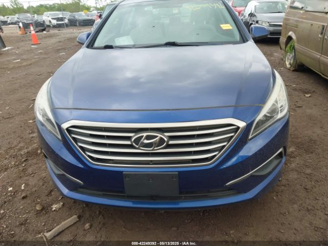 5NPE24AF7GH356081 Hyundai SONATA SE