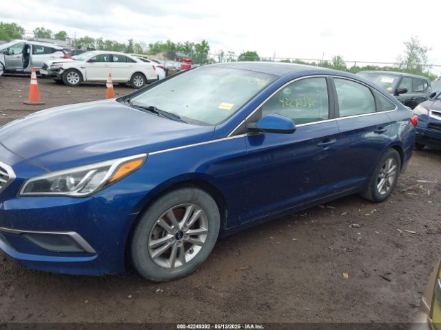 5NPE24AF7GH356081 Hyundai SONATA SE