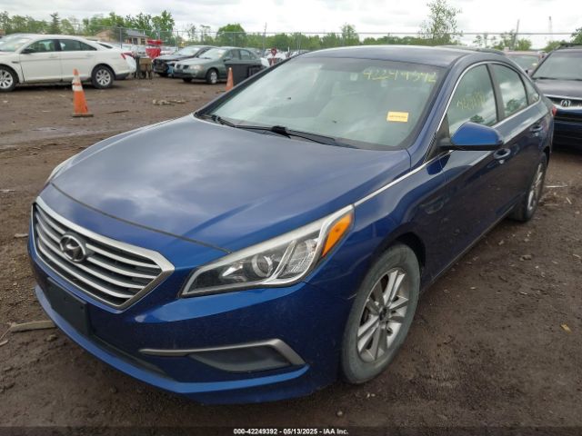 5NPE24AF7GH356081 Hyundai SONATA SE