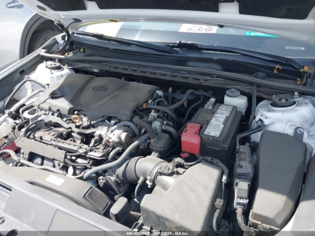 4T1T11AK8MU525883 Toyota CAMRY SE
