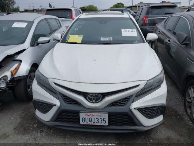 4T1T11AK8MU525883 Toyota CAMRY SE