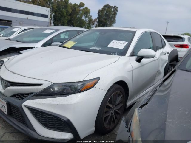 4T1T11AK8MU525883 Toyota CAMRY SE