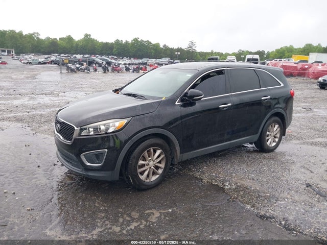 5XYPG4A36GG037259 KIA Sorento 2.4l L