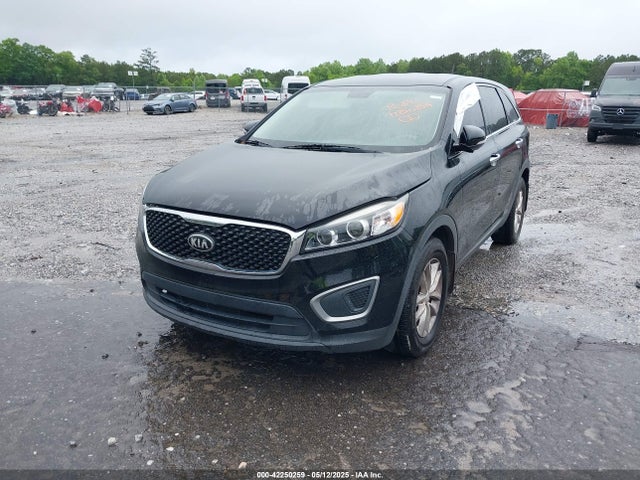 5XYPG4A36GG037259 KIA Sorento 2.4l L