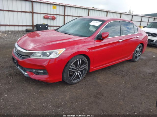 1HGCR2F51GA049456 Honda Accord Sport