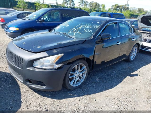 1N4AA5AP9EC466659 Nissan Maxima 3.5 S/3.5 Sv