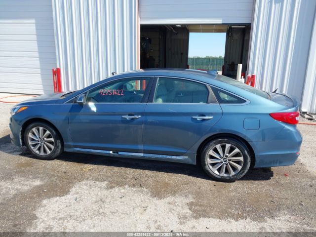 5NPE34AF0GH434813 Hyundai Sonata Sport