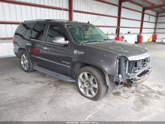 2010 CADILLAC ESCALADE 1GYUKBEF6AR103998