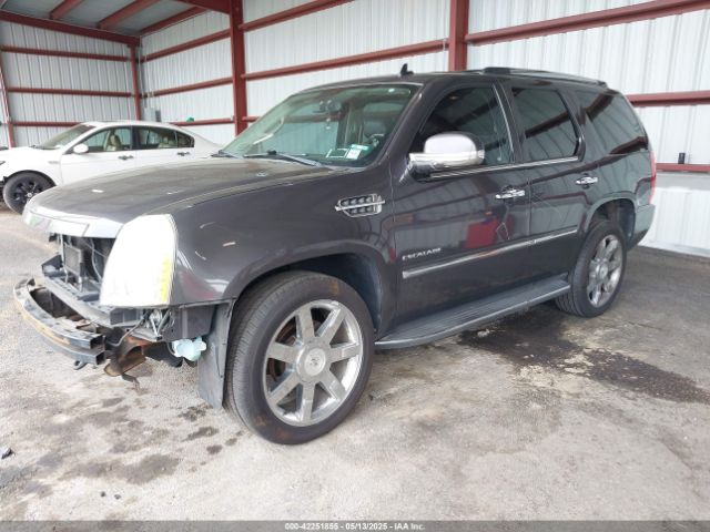 2010 CADILLAC ESCALADE 1GYUKBEF6AR103998 Photo 1