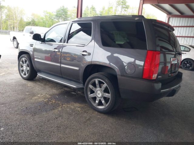 2010 CADILLAC ESCALADE 1GYUKBEF6AR103998 Photo 2