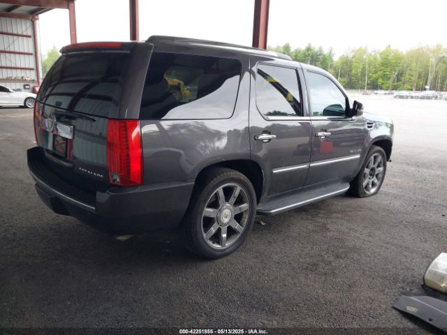 2010 CADILLAC ESCALADE 1GYUKBEF6AR103998 Photo 3
