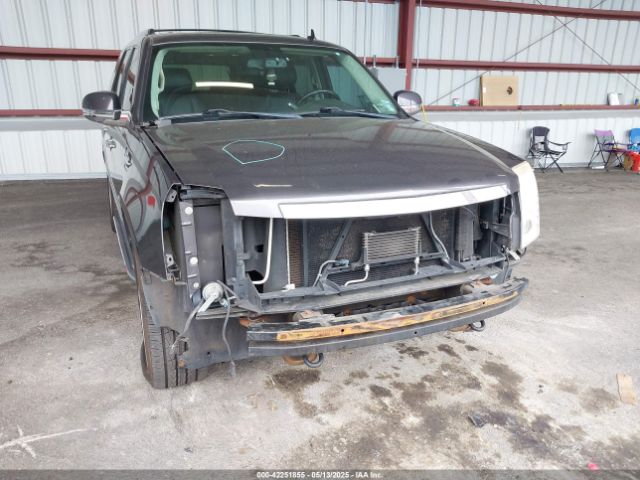 2010 CADILLAC ESCALADE 1GYUKBEF6AR103998 Photo 5