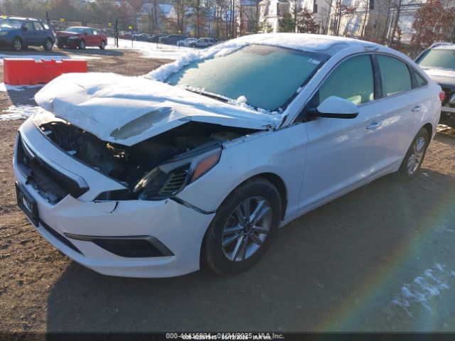 5NPE24AF2GH395242 Hyundai Sonata