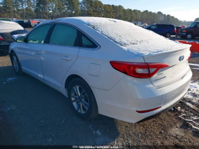 5NPE24AF2GH395242 Hyundai Sonata