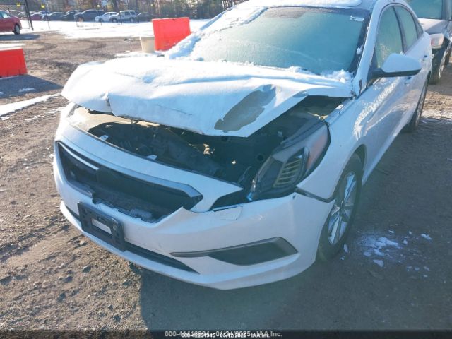 5NPE24AF2GH395242 Hyundai Sonata