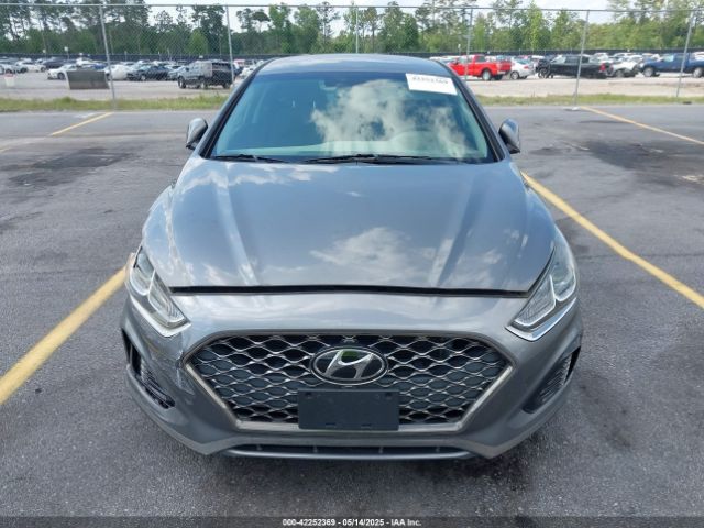 5NPE34AF8KH747665 Hyundai SONATA SEL