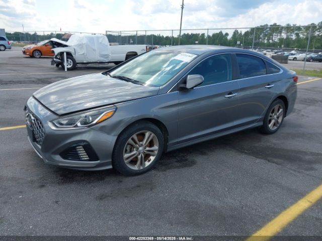 5NPE34AF8KH747665 Hyundai SONATA SEL