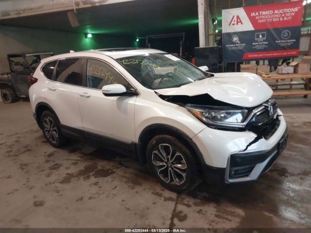 2020 HONDA CR-V 5J6RW1H54LL012869